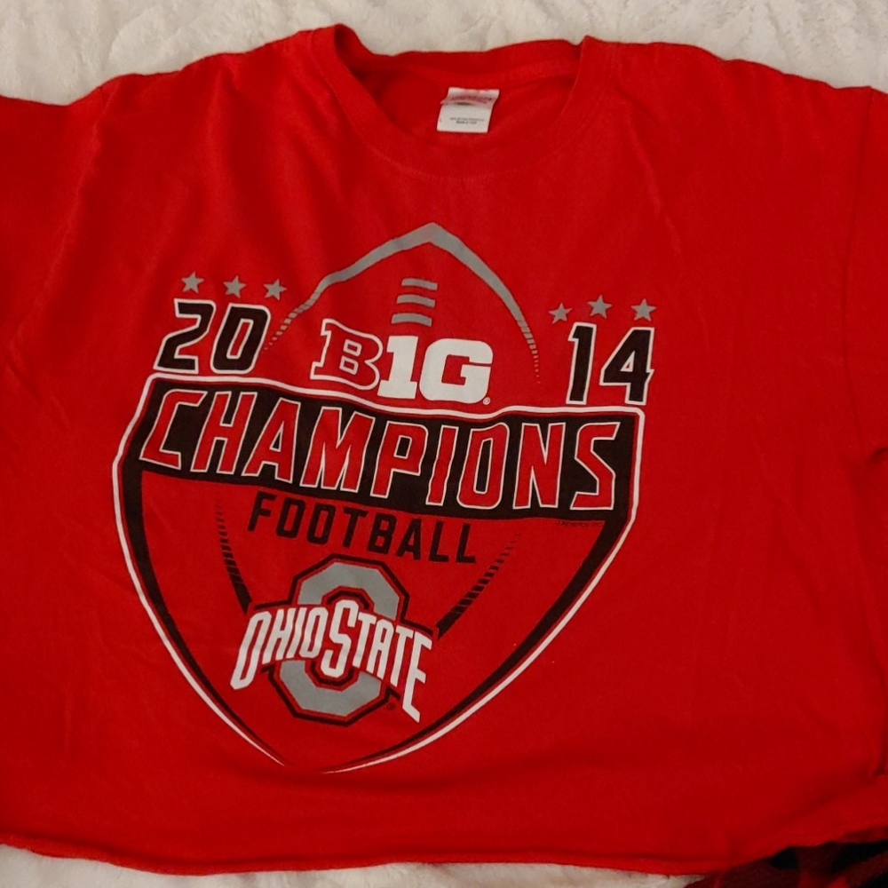 2014 BIG 10 champion crop t-shirt